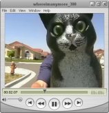 video image