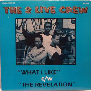 What I Like by 2 Live Crew