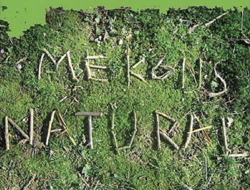 Mekons Natural album cover