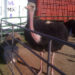 picture of an ostrich