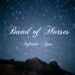 Band of Horses Infinite Arms album cover